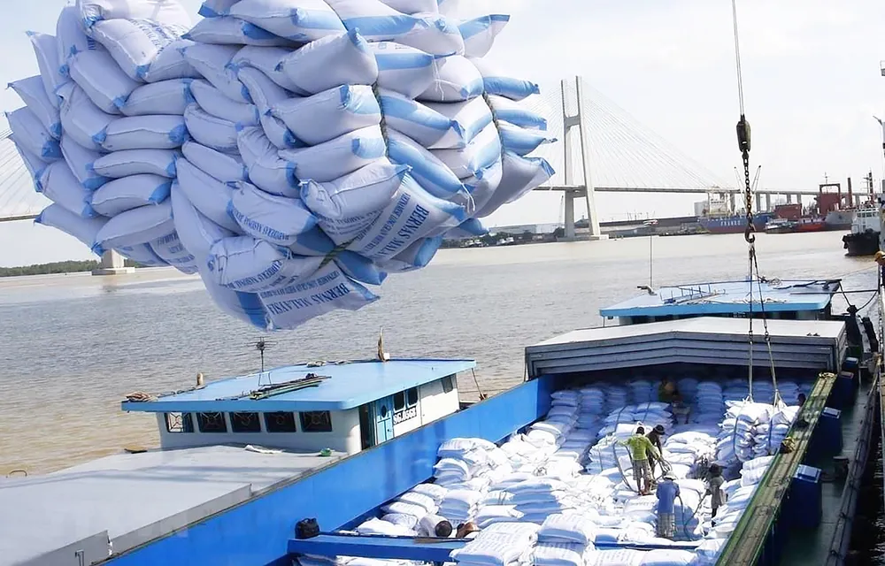 Việt Nam ngày nay đã trở thành quốc gia xuất khẩu gạo hàng đầu thế giới. Ảnh: LÊ HIỂN Việt Nam ngày nay đã trở thành quốc gia xuất khẩu gạo hàng đầu thế giới. Ảnh: LÊ HIỂN