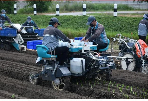 Công nhân thao tác trên máy trồng cây mùa vụ tại Nông trang Kobuta