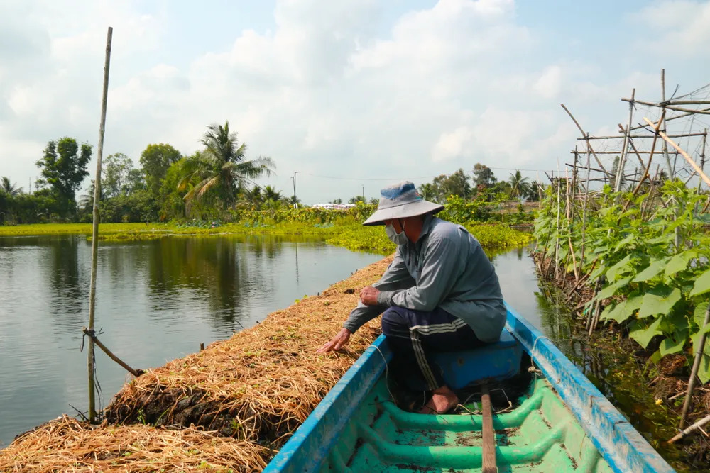 Nông dân tỉnh Long An chuẩn bị xuống giống rau hữu cơ . huẩn bị phục vụ thị trường Tết 2024 Ảnh: NGỌC PHÚC Nông dân tỉnh Long An chuẩn bị xuống giống rau hữu cơ . huẩn bị phục vụ thị trường Tết 2024 Ảnh: NGỌC PHÚC