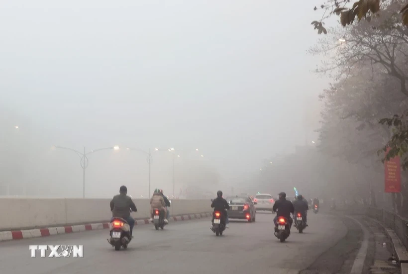 Ảnh minh họa 460220987_1256247609146896_8051186286141539713_n.png