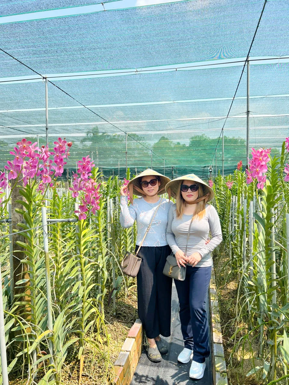 Một góc vườn lan của chị Đặng Lê Thị Thanh Huyền (xã An Nhơn Tây, huyện Củ Chi) B5d.jpg