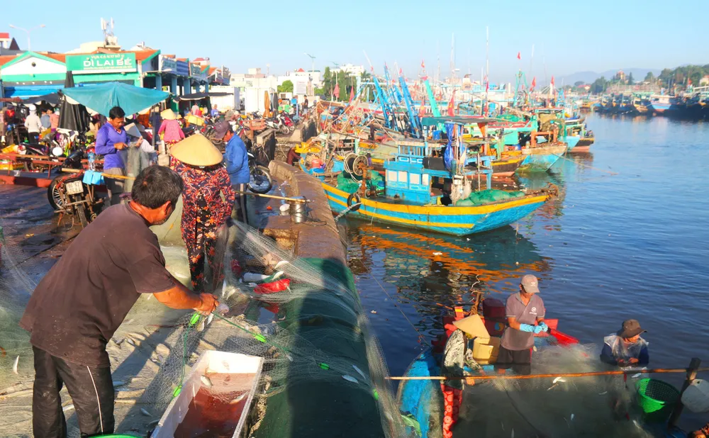 Sở hữu đội tàu cá hiện đại và lượng lao động lớn, nghề khai thác thủy sản ở Lâm Đồng ngày càng phát triển IMG_7432.jpeg