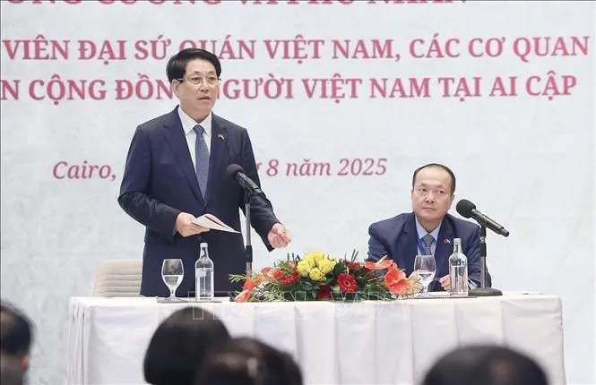 Chủ tịch nước Lương Cường nói chuyện với cán bộ, nhân viên Đại sứ quán, các cơ quan và đại diện cộng đồng người Việt Nam tại Ai Cập. Ảnh: TTXVN 2.jpeg