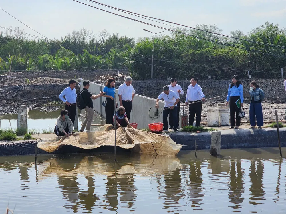 Hội Nông dân TPHCM tham quan một mô hình nuôi trồng thủy hải sản tại xã An Thới Đông A5a.jpg