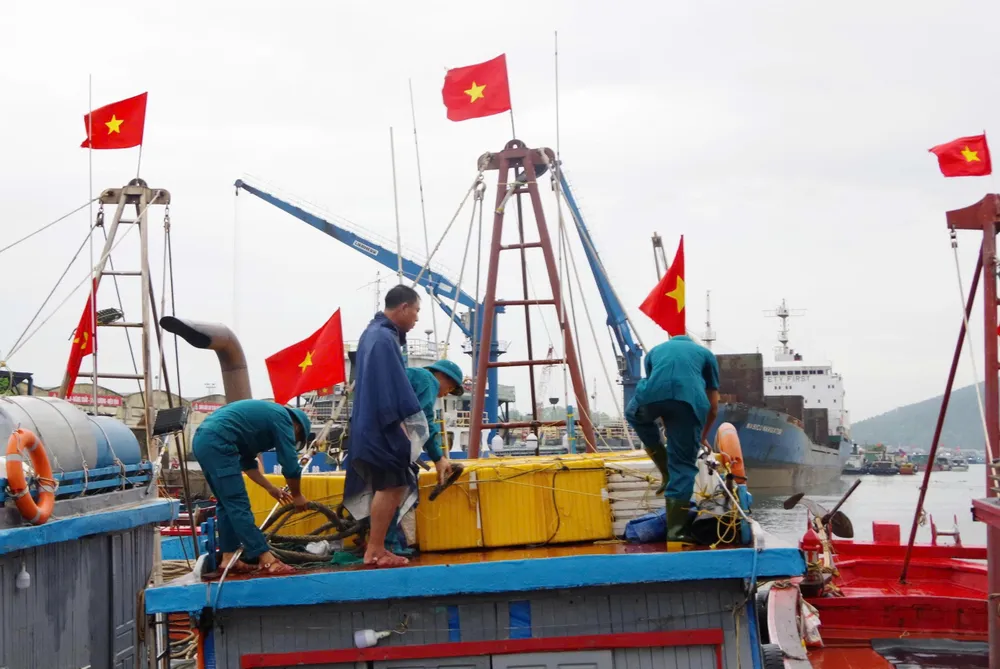 Ngư dân Nghệ An neo đậu tàu thuyền tránh bão số 10 IMG_8616.jpeg