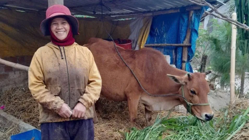 Trao sinh kế ở xã Kon Braih: Dân được cấp bò, nhận thêm bê