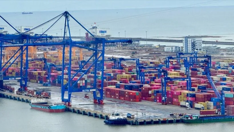 Gần 500 container chè Việt Nam ách tắc tại cảng Karachi, Pakistan