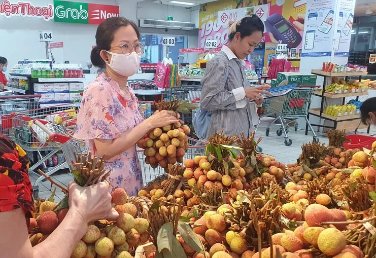 Bắc Giang, Hải Dương đã bán được gần 100.000 tấn vải thiều ảnh 2 Bắc Giang, Hải Dương đã bán được gần 100.000 tấn vải thiều ảnh 2