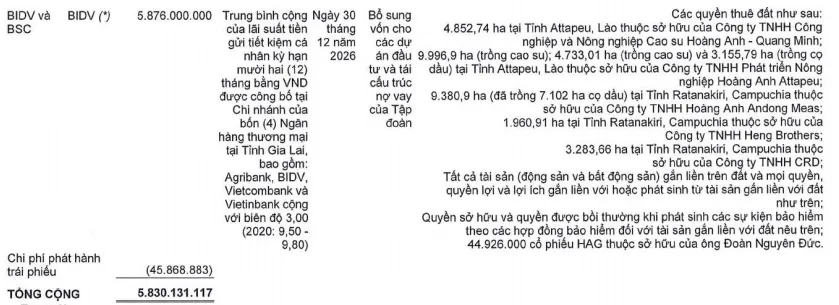 Giấy tờ đất 7 công ty bị thế chấp vay 5.830 tỷ đồng tại BIDV, tỷ phú Trần Bá Dương có chia tay Bầu Đức? - Ảnh 3. Giấy tờ đất 7 công ty bị thế chấp vay 5.830 tỷ đồng tại BIDV, tỷ phú Trần Bá Dương có chia tay Bầu Đức? - Ảnh 3.