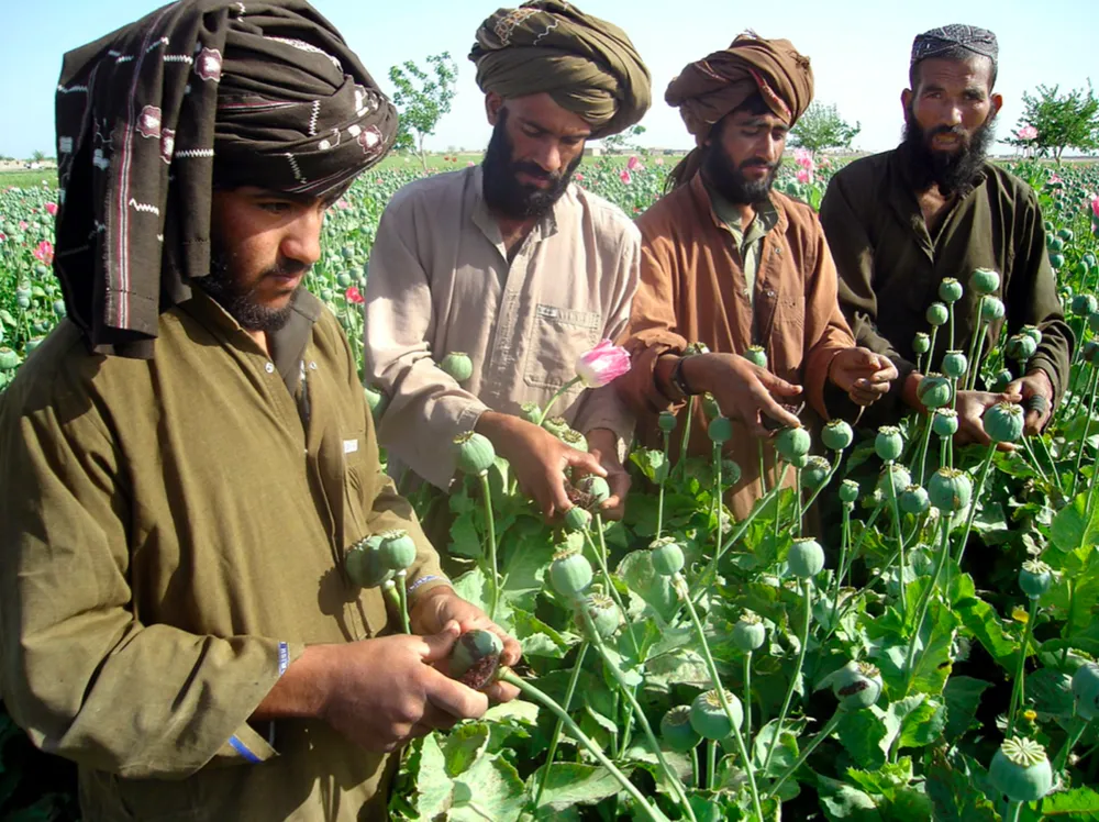 Lực lượng Taliban kiếm tiền từ đâu và giàu có cỡ nào? ảnh 2 Lực lượng Taliban kiếm tiền từ đâu và giàu có cỡ nào? ảnh 2