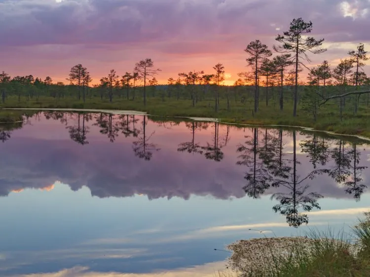 Fiery sunset with vivid clouds over Suru Suursoo bog, reflection on water, Harju county, Estonia 7. Estonia: 17.6% of children with parents in the bottom half ended up in the top quarter.