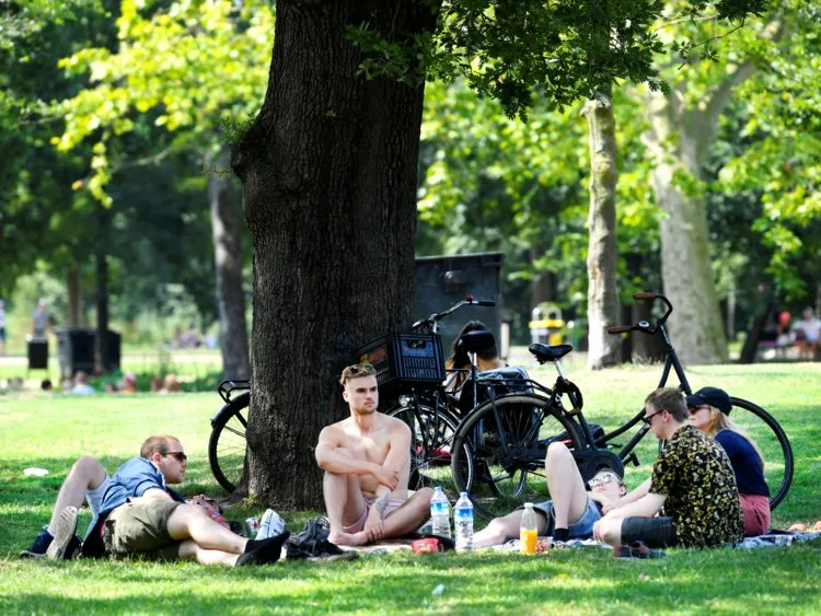 People cool off underneath a tree during a sunny day in the Vondelpark in Amsterdam 9. Netherlands: 17.1% of children with parents in the bottom half ended up in the top quarter.