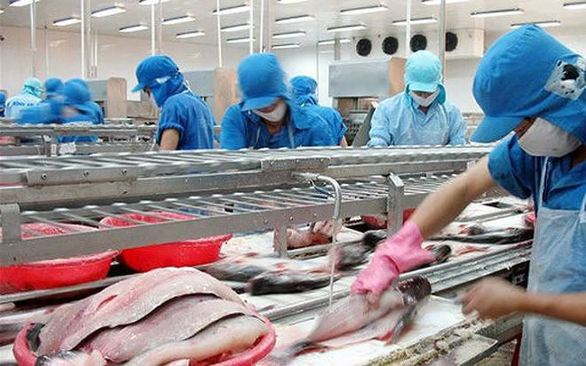 Seafood processing at VHC.