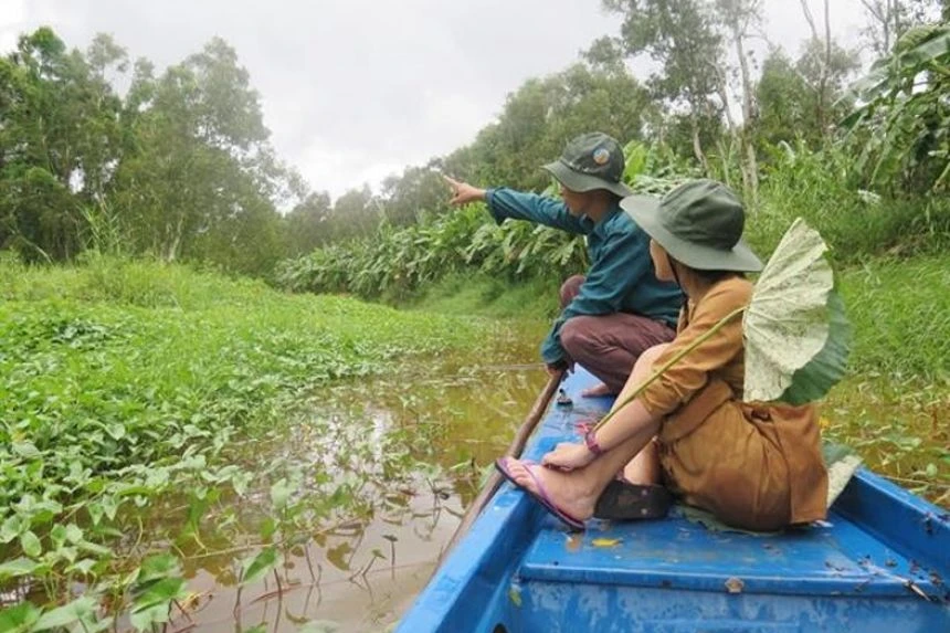 Tourists visit a melaleuca forest in U Minh Hạ National Park, Vietnam.PHOTO: VNA/VNS PHOTO MINH HƯNG