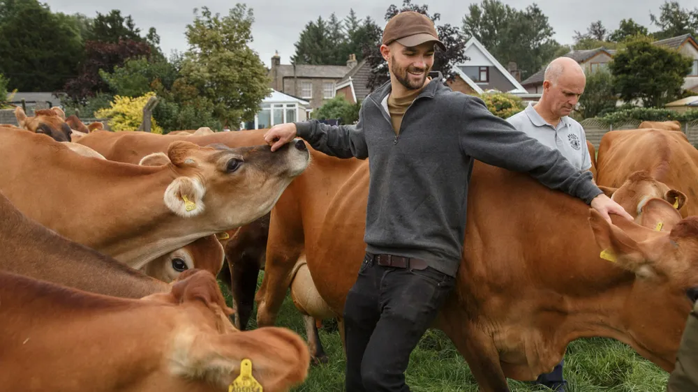 Where’s the beef? China meat ban leaves Brazilian officials baffled ảnh 1