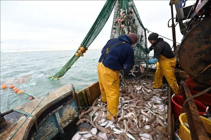 Pháp ra 'tối hậu thư' cho Anh về tranh chấp nghề cá ảnh 1 Pháp ra 'tối hậu thư' cho Anh về tranh chấp nghề cá ảnh 1