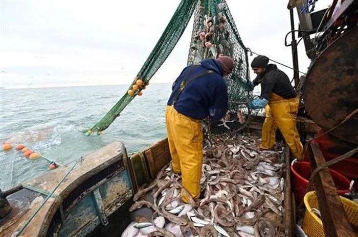 Ngư dân đánh cá ngoài khơi bờ biển phía Đông Nam nước Anh ngày 12/10/2020. (Ảnh: AFP/TTXVN)