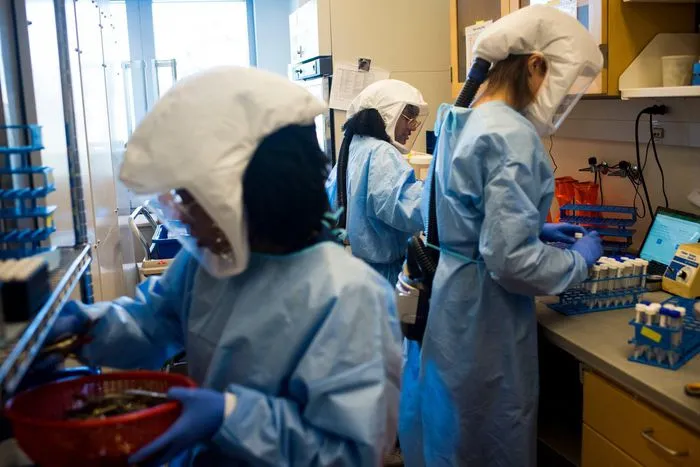 Giờ là lúc chuẩn bị cho sự xuất hiện của biến chủng mới ảnh 2 Giờ là lúc chuẩn bị cho sự xuất hiện của biến chủng mới ảnh 2