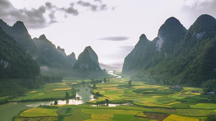 The ripened rice season in Ngoc Khe commune in Trung Khanh district, Cao Bang province, is popular among local and foreign tourists. (Photo: VNA)