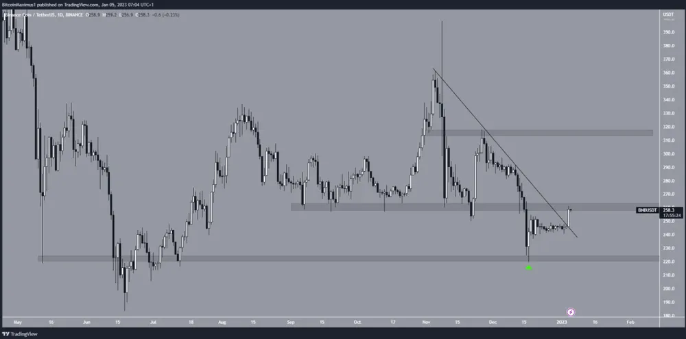 Biểu đồ BNB/USDT hàng ngày | Nguồn: TradingView