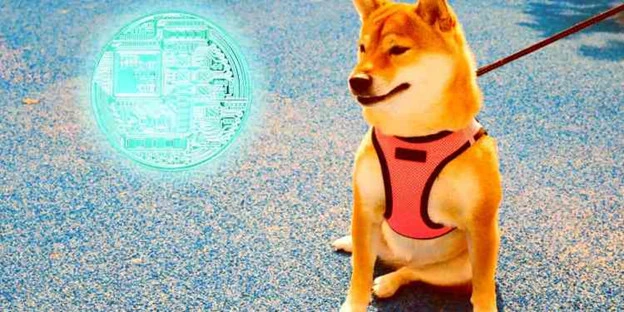 Giá DOGE giảm mạnh sau khi SpaceX của Elon Musk thử nghiệm tên lửa thất bại