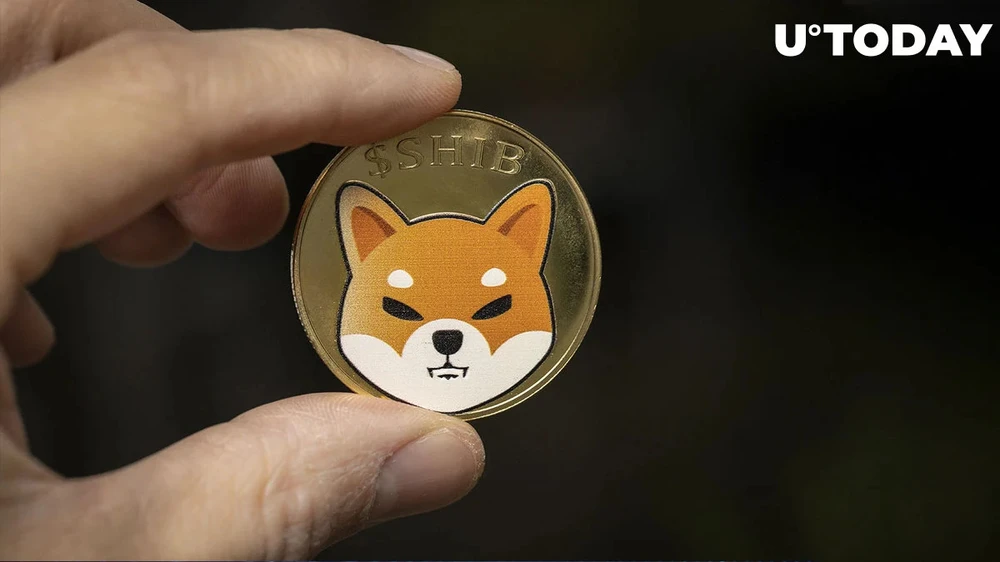 Báo động đỏ Shiba Inu: 80% hodler SHIB hiện đang thua lỗ