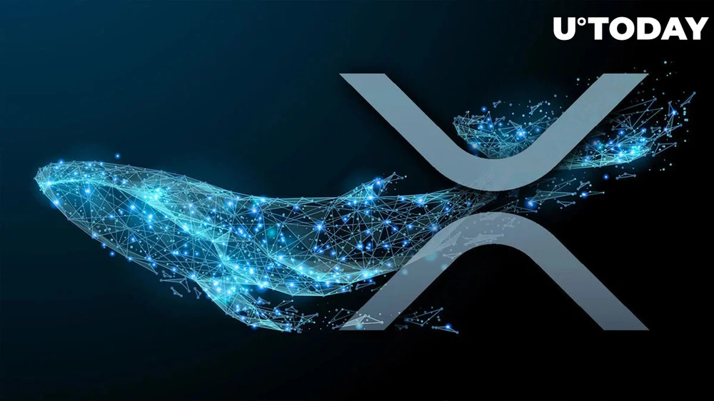 XRP tiếp tục thu hút sự chú ý của nhà đầu tư, cá voi di chuyển 563.571 XRP