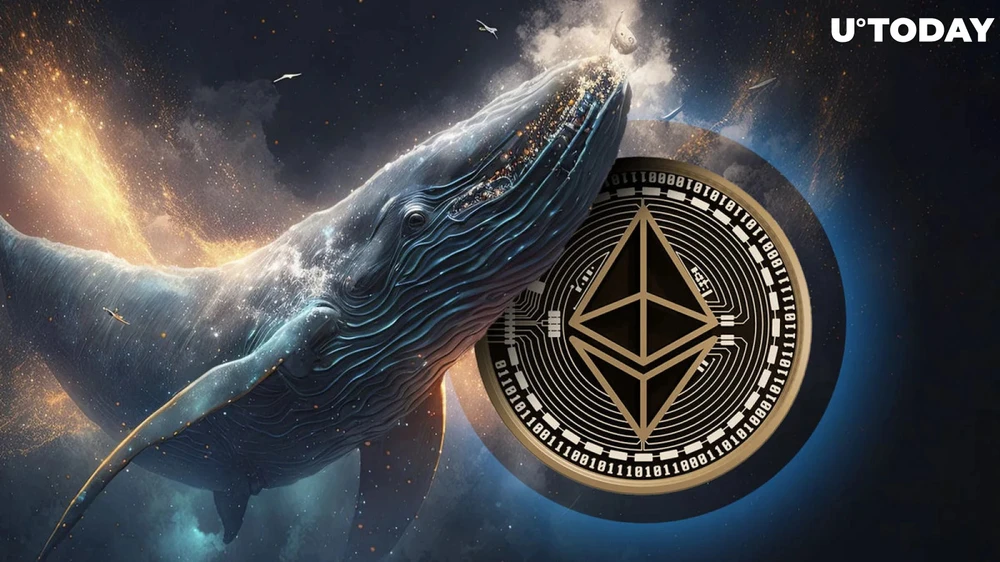 Cá voi Ethereum mua 155,7 triệu USD ETH khi giá gần mốc 3.000 USD