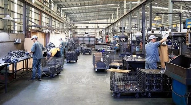 Production at the Powersports Manufacturing Inc. in Trang Bang IP, Dong Nai (Photo: VNA)