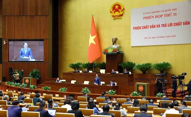 Minister of Foreign Affairs Bui Thanh Son fields questions from legislators at the question-and-answer session on March 18. (Photo: VNA)