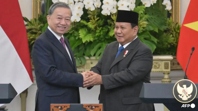 Indonesia's President Prabowo Subianto (right) shakes hands with Vietnam's Communist Party General Secretary To Lam after a joint press conference at the Presidential Palace in Jakarta on Mar 10, 2025.