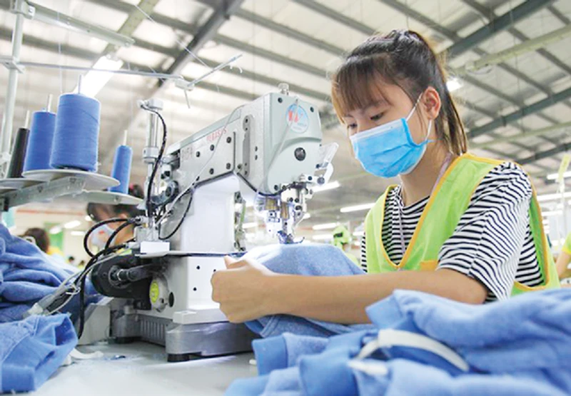 Unlocking the Potential of Vietnam's Private Economy