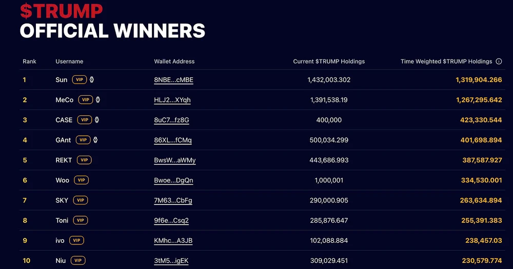 Top 10 holder TRUMP tính đến ngày 12/5 | Nguồn: Dự án memecoin TRUMP Hình 2.jpg