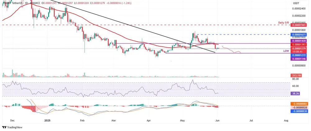 Biểu đồ SHIB/USDT hàng ngày | Nguồn: TradingView Hình 2.jpg