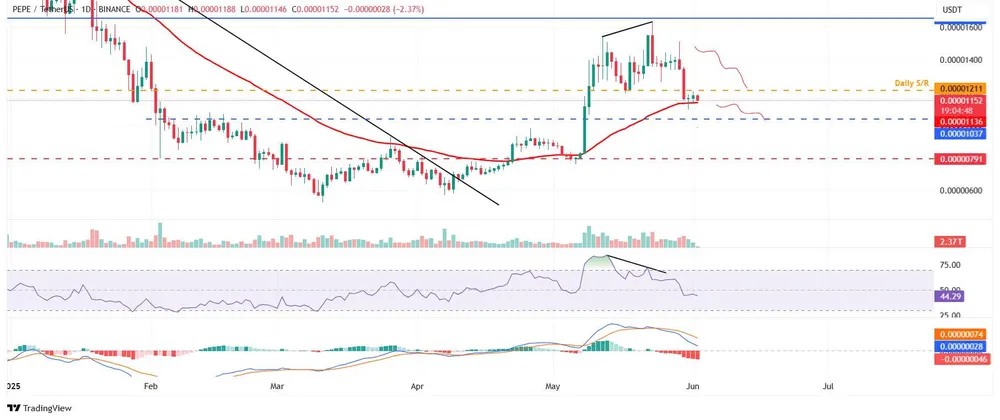 Biểu đồ PEPE/USDT hàng ngày | Nguồn: TradingView Hình 3.jpg