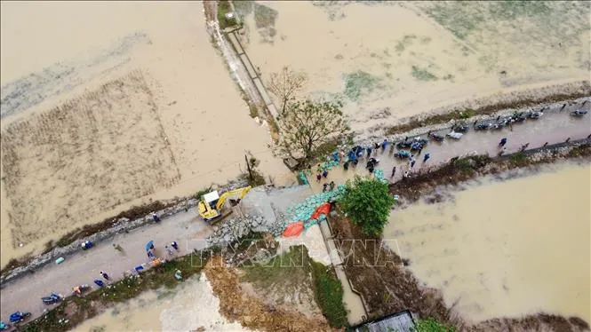 Các lực lượng và người dân xã Quảng Điền khẩn trương xử lý đoạn đê bị sạt lở sau bão lũ. Ảnh minh họa: TTXVN