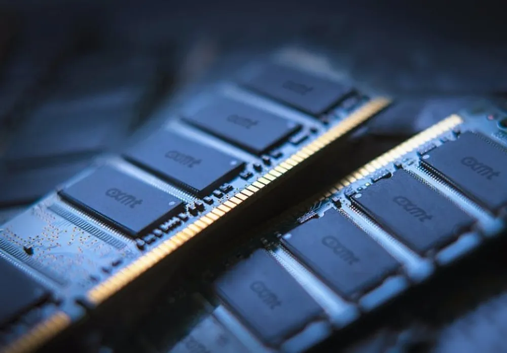 Ảnh minh họa: Handout