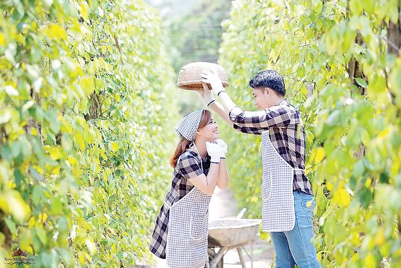 Bỏ lỡ 5 “đặc sản” hiếm có khó tìm này, coi như chưa đến Phú Quốc! ảnh 4 Bỏ lỡ 5 “đặc sản” hiếm có khó tìm này, coi như chưa đến Phú Quốc! ảnh 4