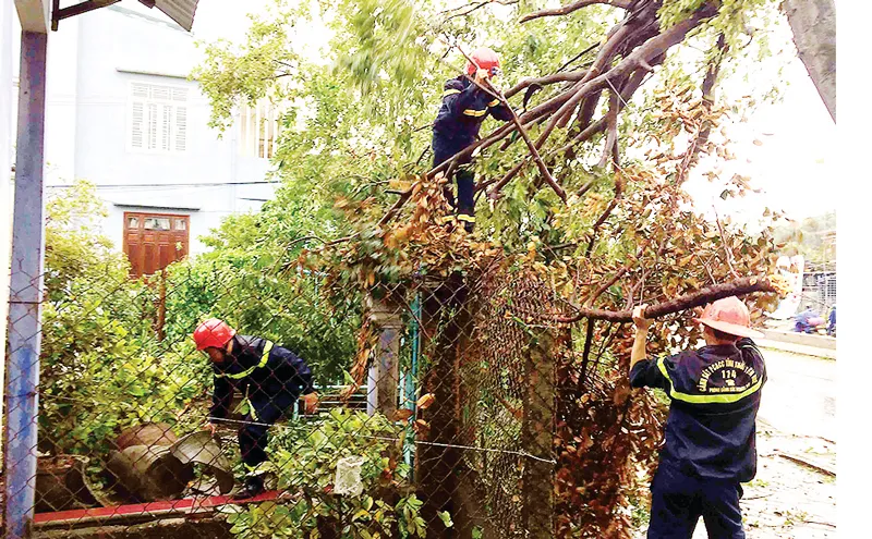 Khôi phục nhịp sống ảnh 3