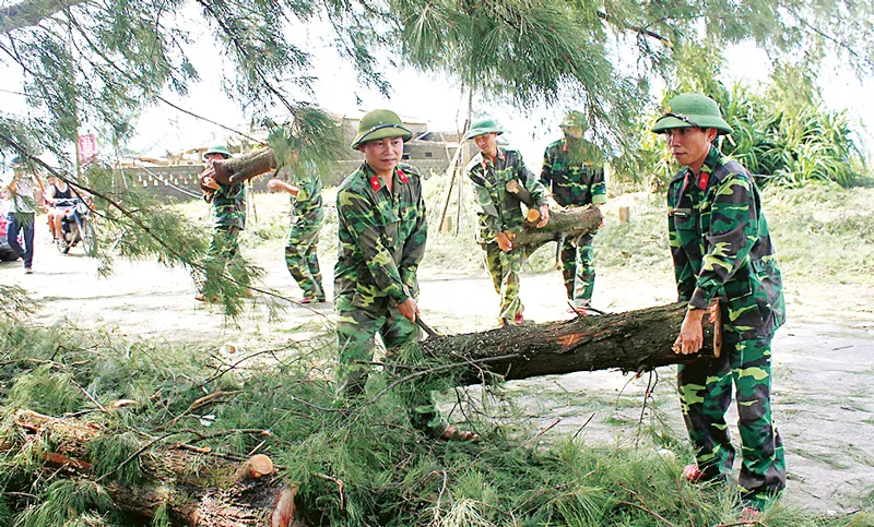 Khôi phục nhịp sống ảnh 7