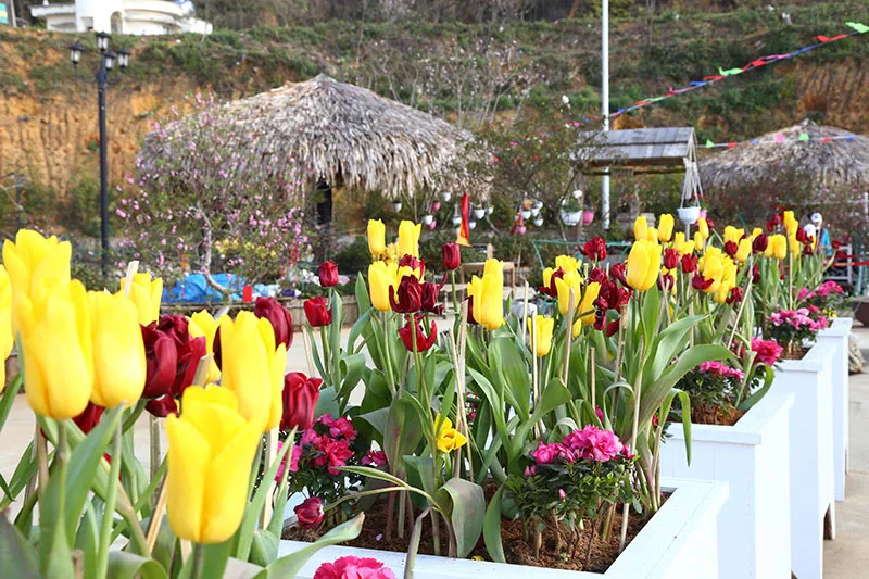 Đi lễ đầu năm, vui trẩy hội xuân Tây Bắc ảnh 3