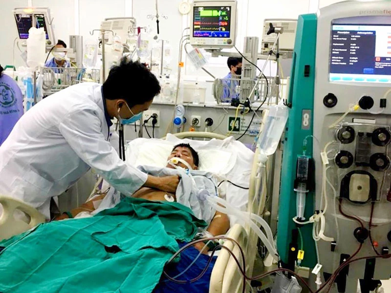 Một bệnh nhân bị ngộ độc Paraquat đang được điều trị tại Trung tâm Chống độc, Bệnh viện Bạch Mai