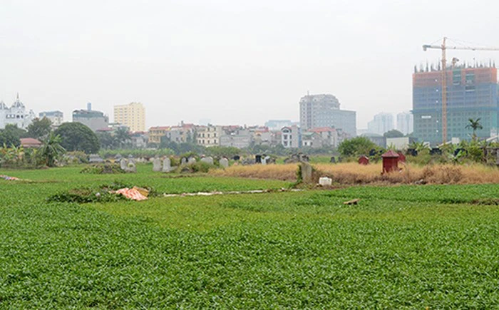 Tuyệt đối không để “rau hai luống, heo hai chuồng”