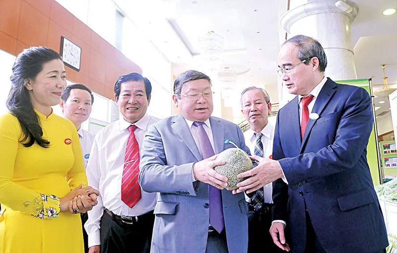 Xây dựng nông nghiệp đô thị theo hướng hiện đại, bền vững ảnh 1 Xây dựng nông nghiệp đô thị theo hướng hiện đại, bền vững ảnh 1