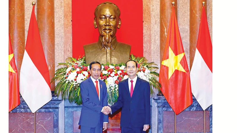 Chủ tịch nước Trần Đại Quang hội đàm Tổng thống Indonesia Joko Widodo