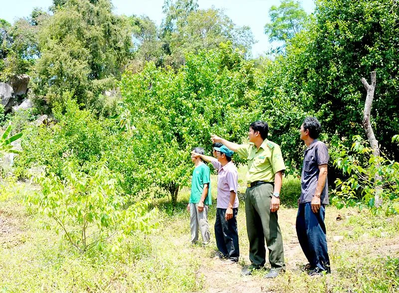 Lực lượng Kiểm lâm ở An Giang kiểm tra phòng chống cháy rừng mùa khô