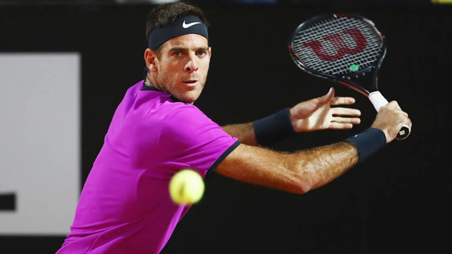 Juan Del Potro mới chỉ chơi 17 trận trong mùa giải này.