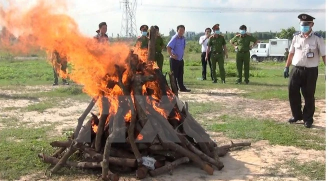 Cơ quan chức năng tiến hành tiêu hủy tang vật. Ảnh: TTXVN