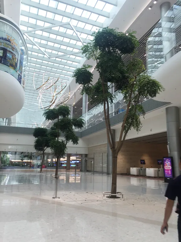 Vietnam Airlines sẽ khai thác nhà ga T4 sân bay Changi, Singapore ảnh 3