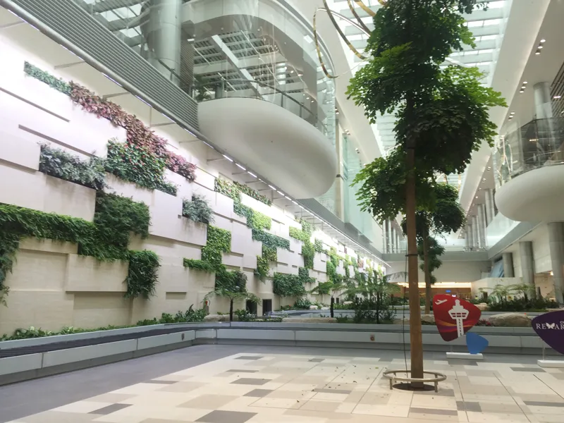 Vietnam Airlines sẽ khai thác nhà ga T4 sân bay Changi, Singapore ảnh 2